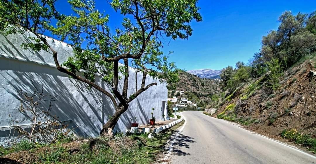 Finca El Almendro Árchez 外观 照片