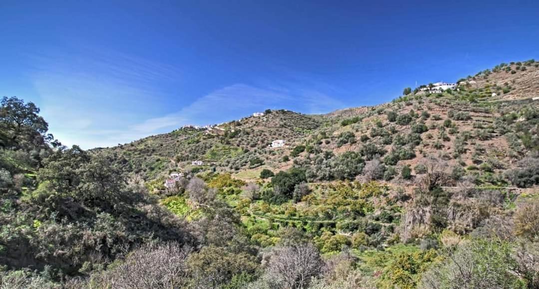 Finca El Almendro Árchez 外观 照片