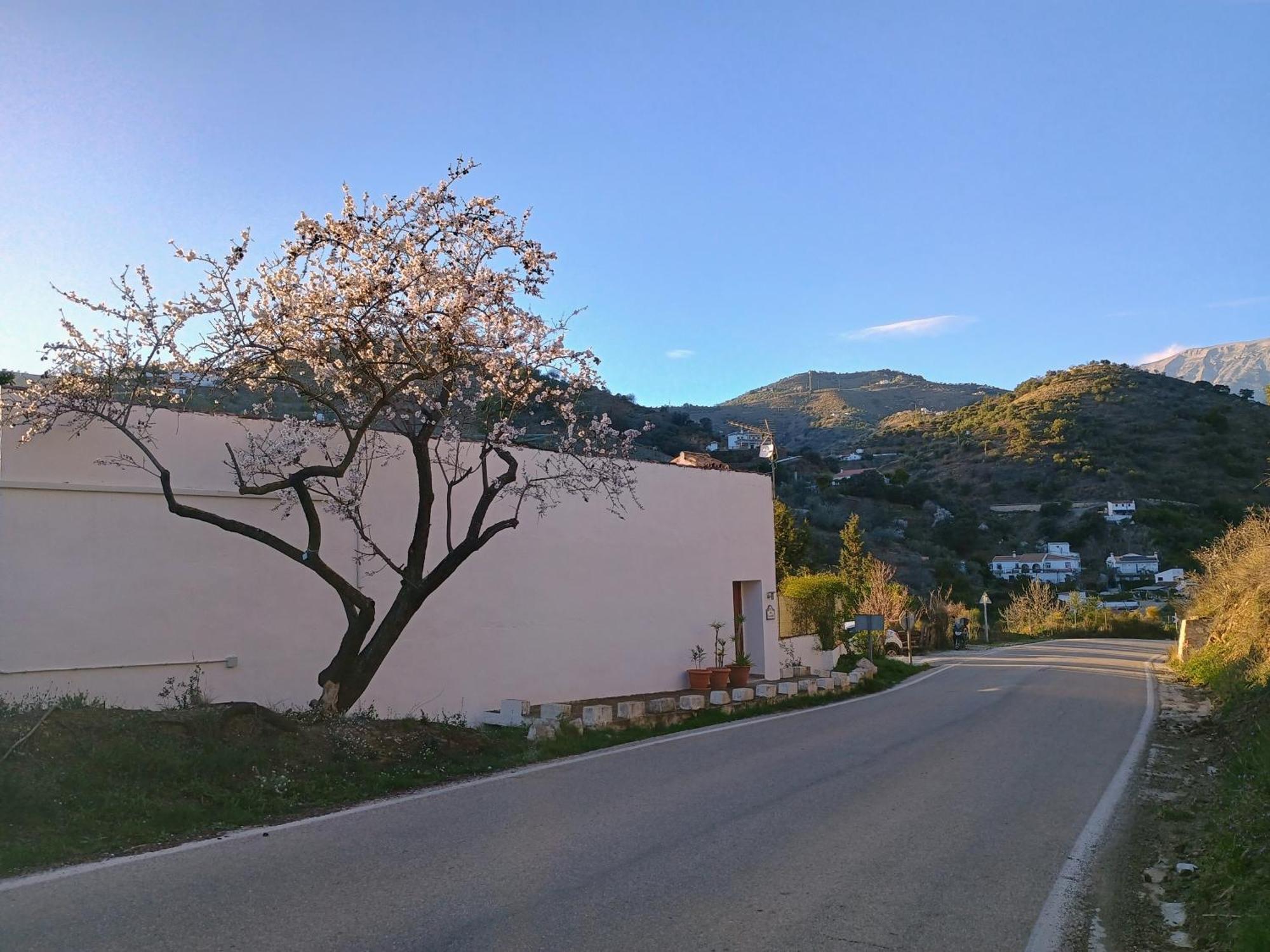 Finca El Almendro Árchez 外观 照片