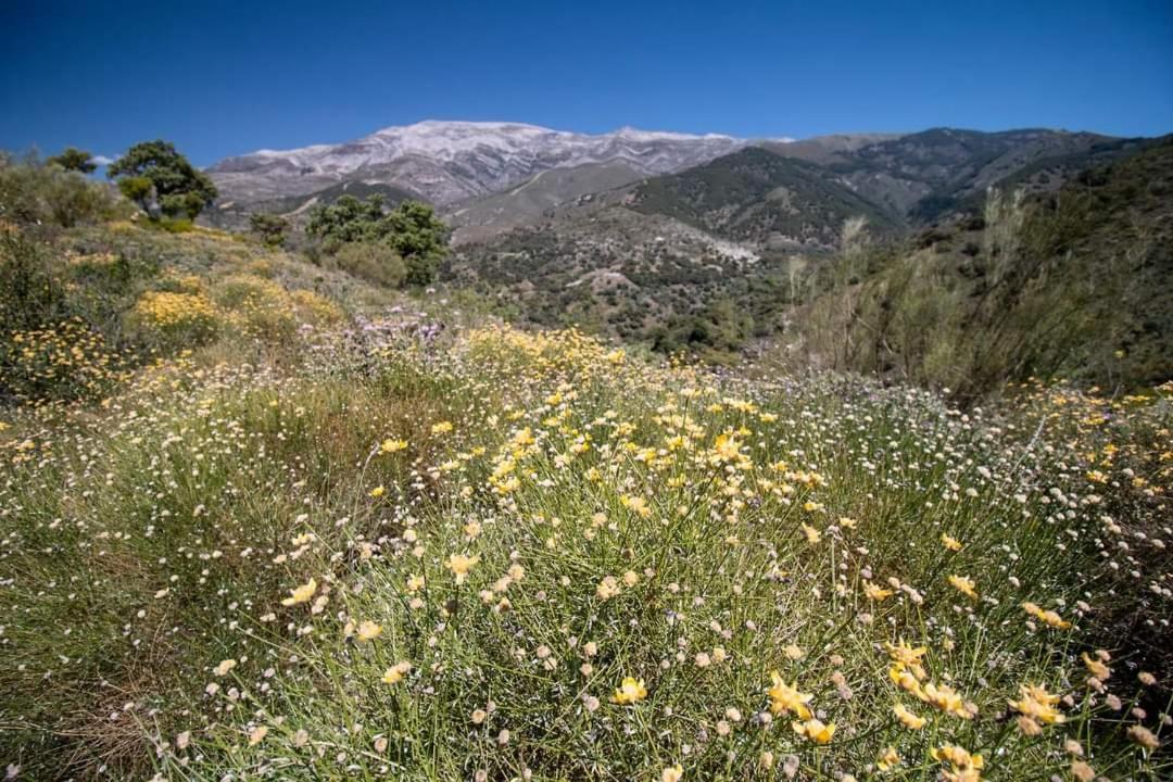 Finca El Almendro Árchez 外观 照片
