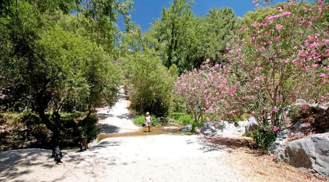 Finca El Almendro Árchez 外观 照片